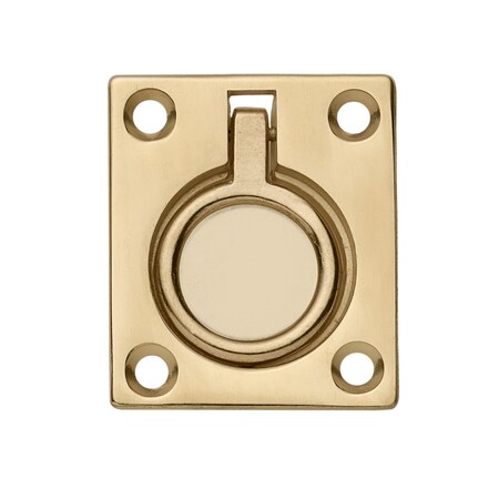 Flush Pull Ring